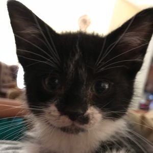 Meet your Posher, Poorvi